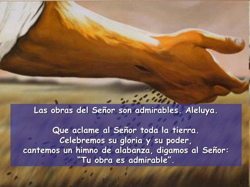 Las obras del Señor son admirables. Aleluya.