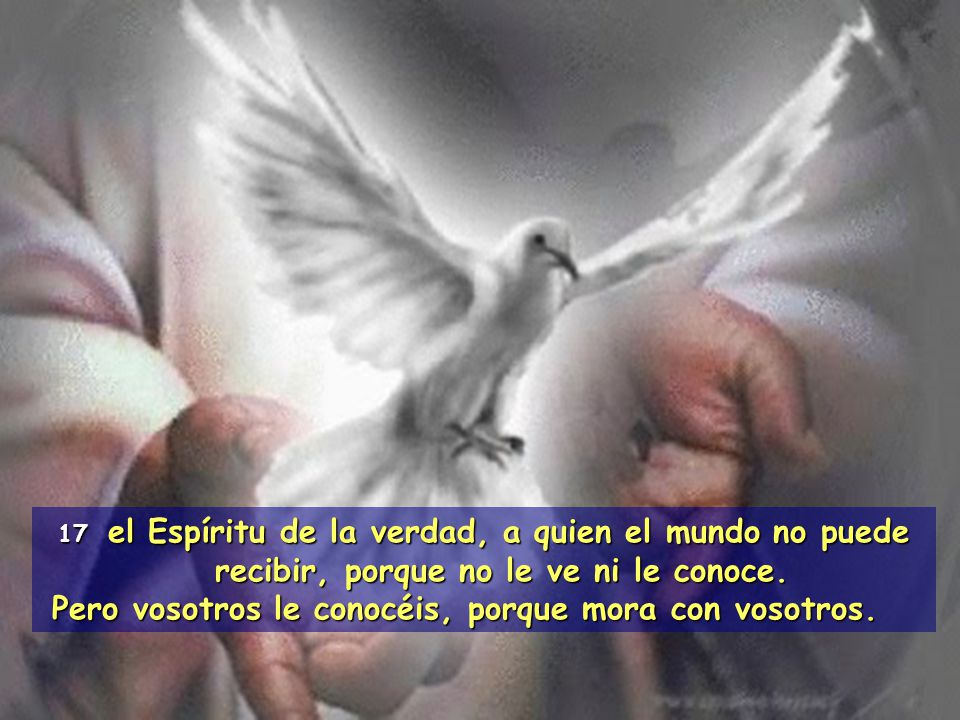 Pero vosotros le conocéis, porque mora con vosotros.
