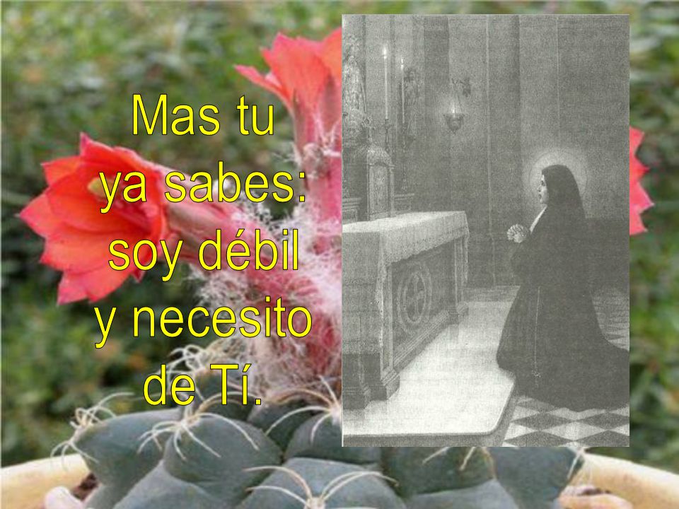 Mas tu ya sabes: soy débil y necesito de Tí.