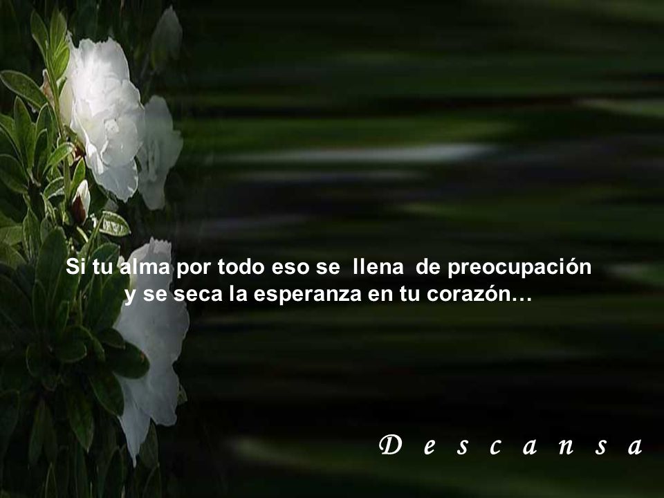 D e s c a n s a Si tu alma por todo eso se llena de preocupación