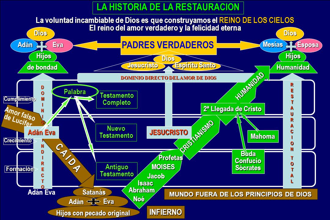 LA HISTORIA DE LA RESTAURACION C A I D A
