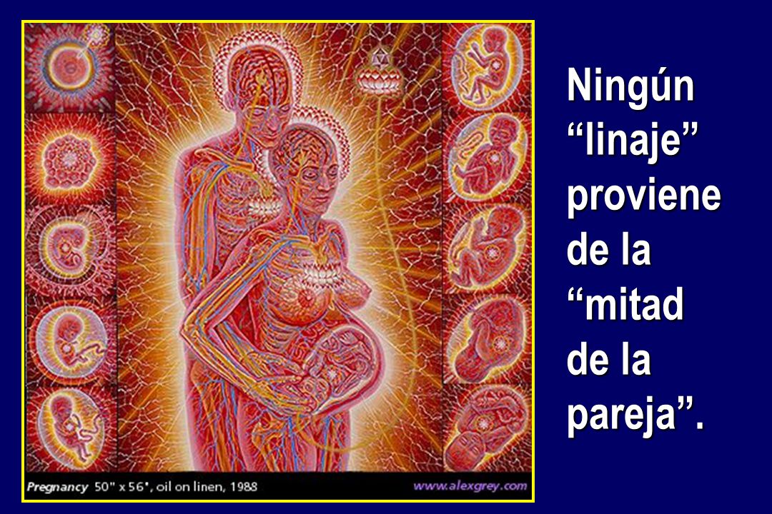 Ningún linaje proviene de la mitad de la pareja .