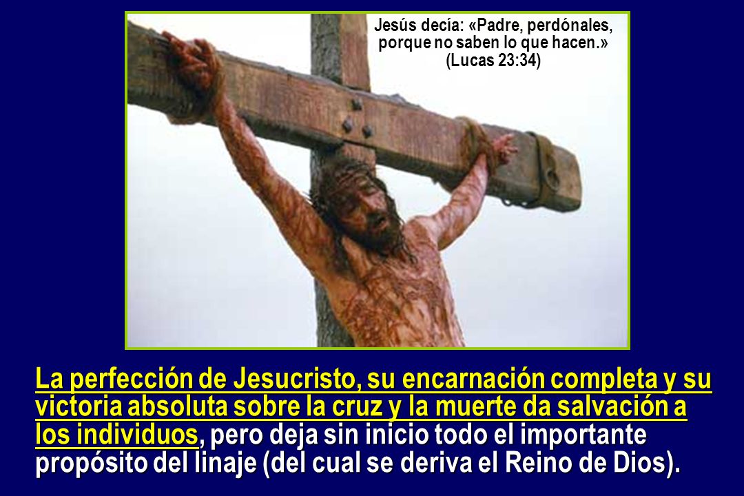 Jesús decía: «Padre, perdónales, porque no saben lo que hacen