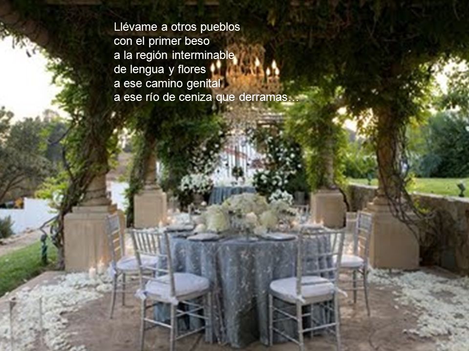 Llévame a otros pueblos con el primer beso a la región interminable de lengua y flores a ese camino genital a ese río de ceniza que derramas…