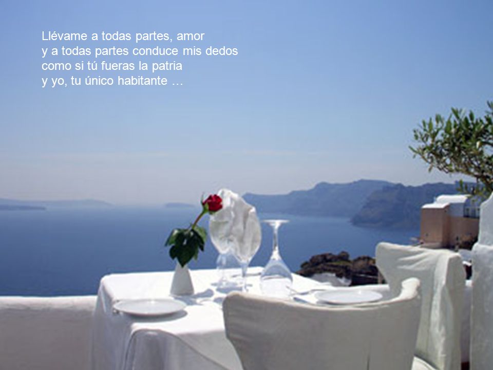 Llévame a todas partes, amor y a todas partes conduce mis dedos como si tú fueras la patria y yo, tu único habitante …