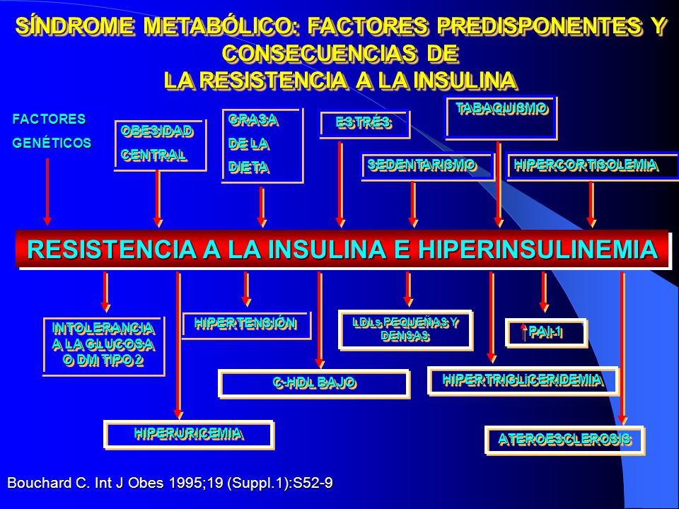RESISTENCIA A LA INSULINA E HIPERINSULINEMIA
