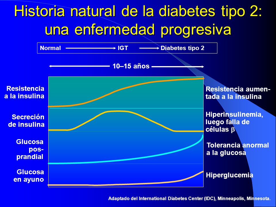 Historia natural de la diabetes tipo 2: una enfermedad progresiva