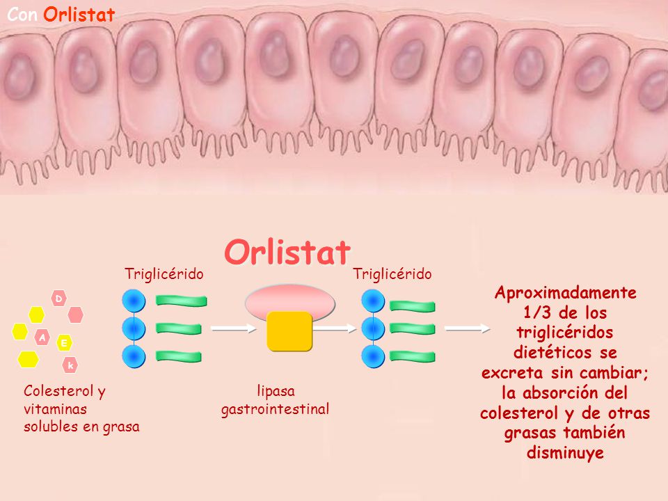 Orlistat Orlistat Con Orlistat