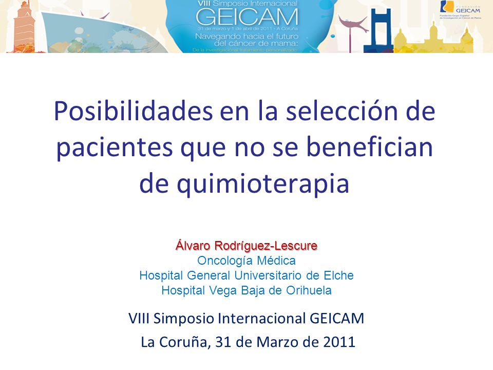 VIII Simposio Internacional GEICAM La Coruña, 31 de Marzo de 2011