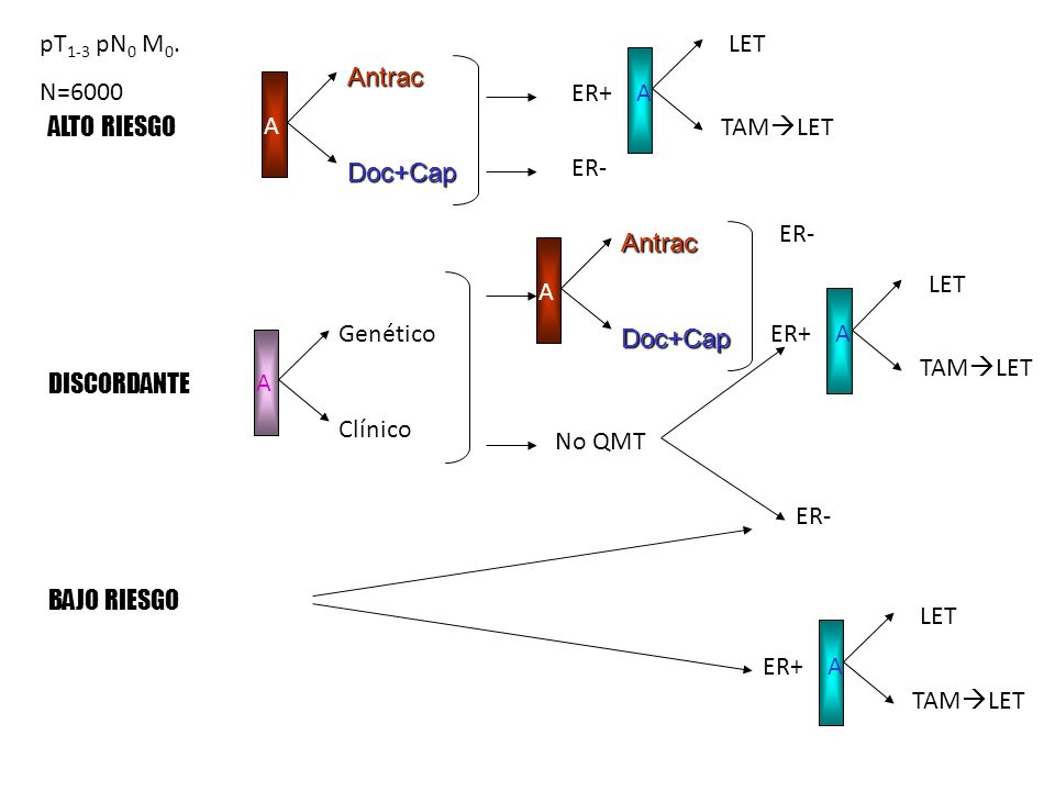 pT1-3 pN0 M0. N=6000. ER+ A. LET. TAMLET. Antrac. Doc+Cap. ALTO RIESGO. A. ER- ER- A.