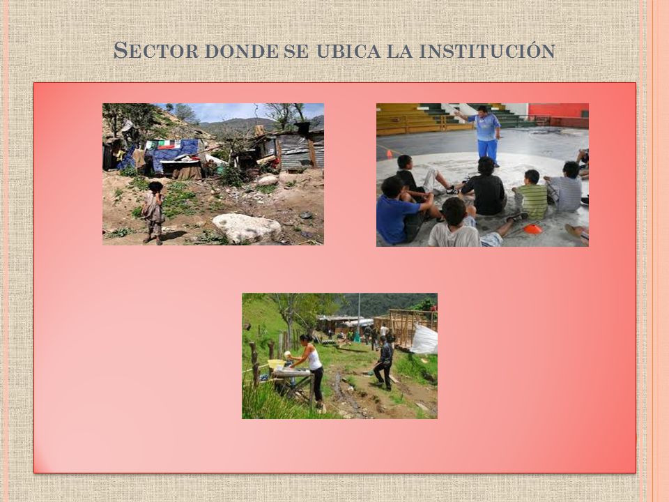 Sector donde se ubica la institución