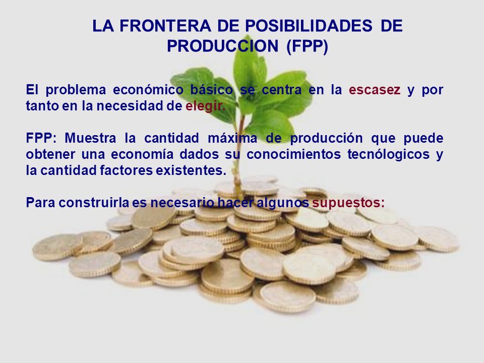 LA FRONTERA DE POSIBILIDADES DE PRODUCCION (FPP)
