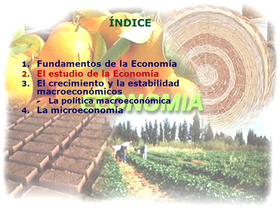 ÍNDICE Fundamentos de la Economía El estudio de la Economía