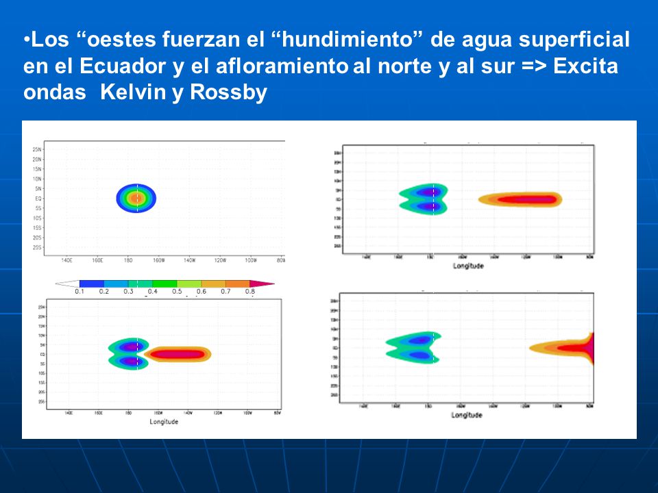 Los oestes fuerzan el hundimiento de agua superficial en el Ecuador y el afloramiento al norte y al sur => Excita ondas Kelvin y Rossby