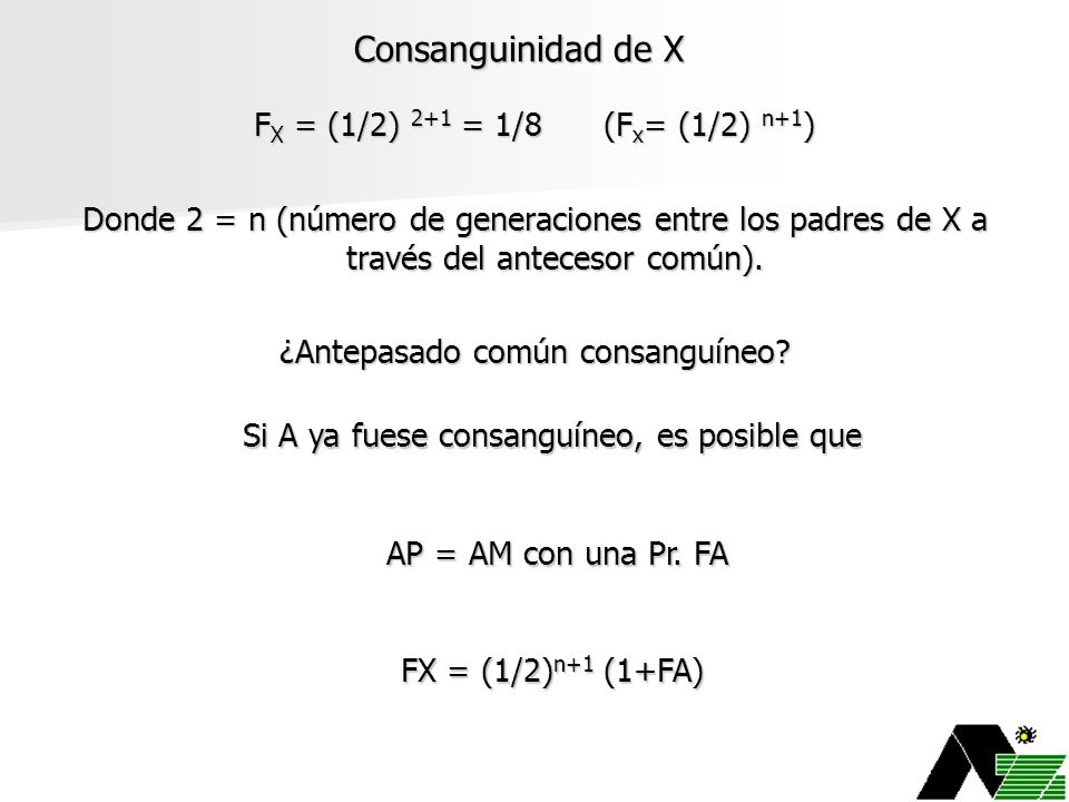 Consanguinidad de X FX = (1/2) 2+1 = 1/8 (Fx= (1/2) n+1)