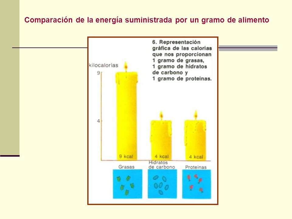 Comparación de la energía suministrada por un gramo de alimento