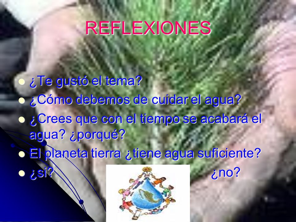 REFLEXIONES ¿Te gustó el tema ¿Cómo debemos de cuidar el agua