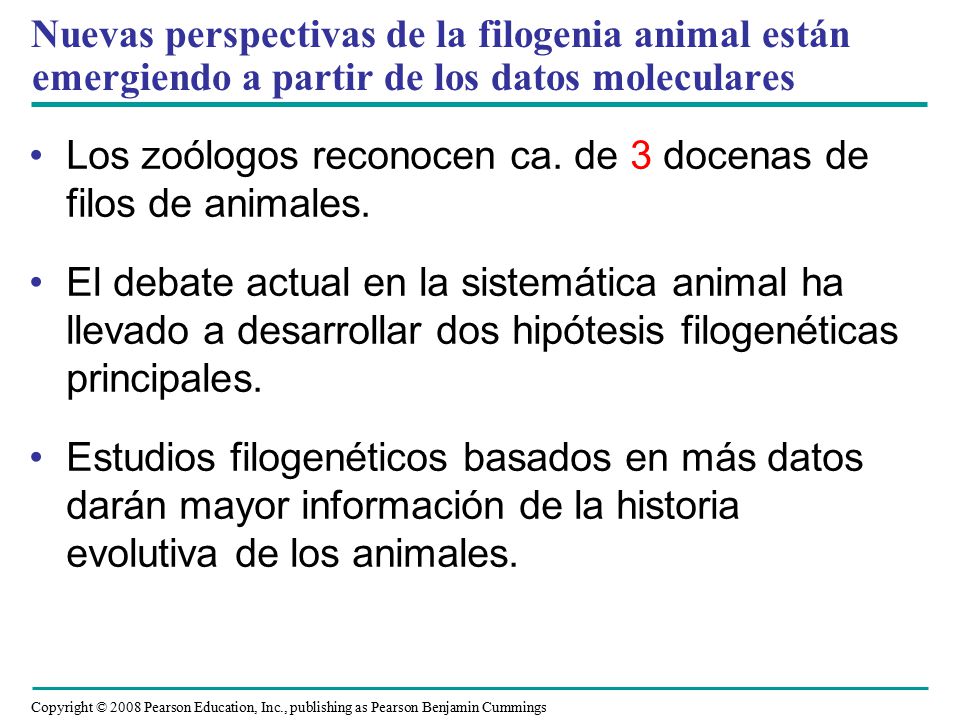 Nuevas perspectivas de la filogenia animal están emergiendo a partir de los datos moleculares