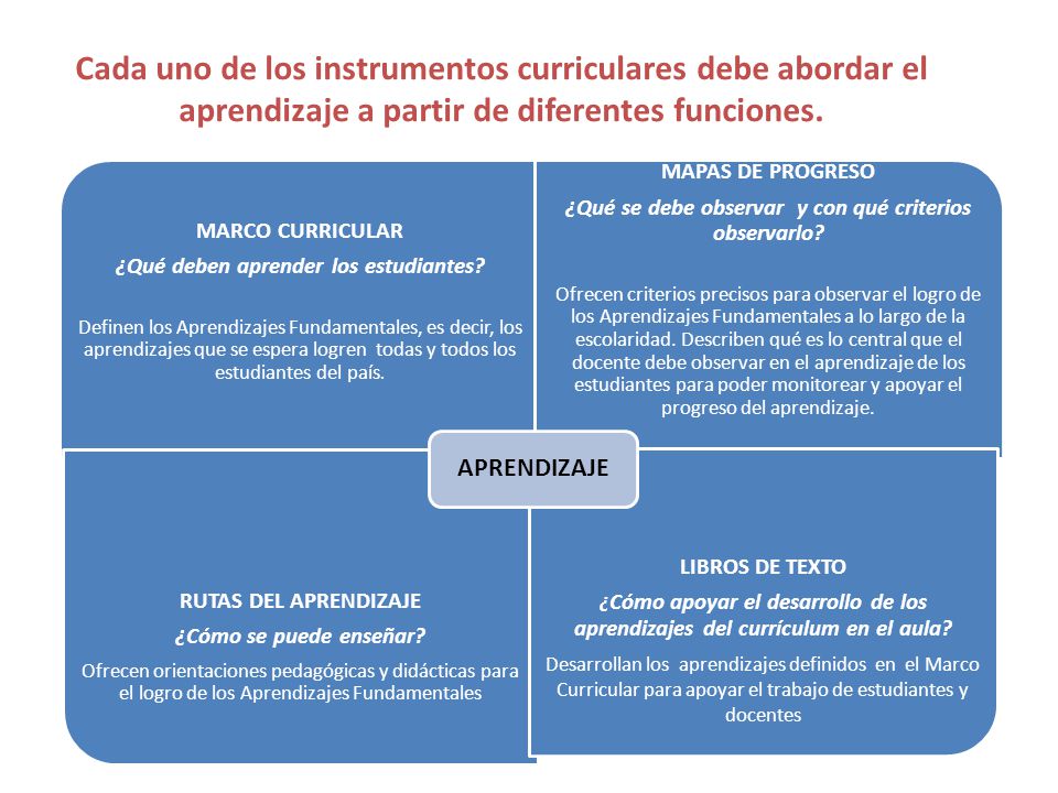 Cada uno de los instrumentos curriculares debe abordar el aprendizaje a partir de diferentes funciones.