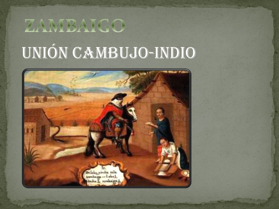 ZAMBAIGO Unión CAMBUJO-INDIO