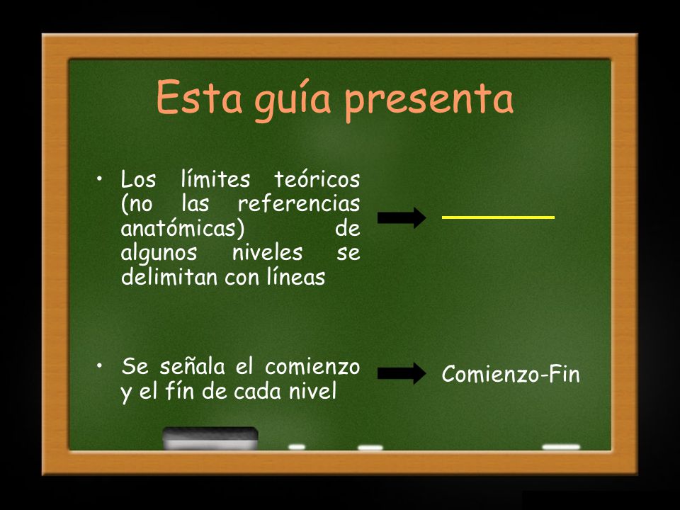 Esta guía presenta Los límites teóricos (no las referencias anatómicas) de algunos niveles se delimitan con líneas.