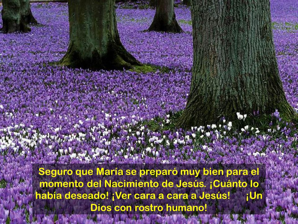 Seguro que María se preparó muy bien para el momento del Nacimiento de Jesús.