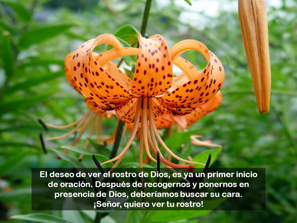 El deseo de ver el rostro de Dios, es ya un primer inicio de oración