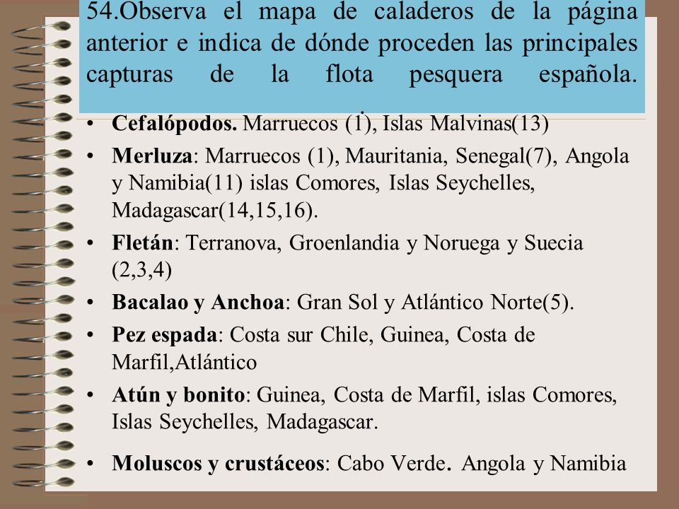 54.Observa el mapa de caladeros de la página anterior e indica de dónde proceden las principales capturas de la flota pesquera española. .