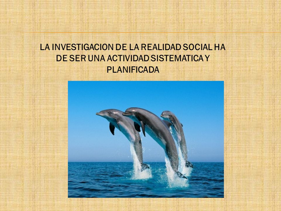 LA INVESTIGACION DE LA REALIDAD SOCIAL HA DE SER UNA ACTIVIDAD SISTEMATICA Y PLANIFICADA