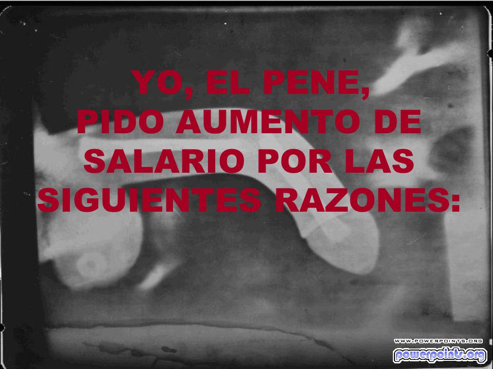 YO, EL PENE, PIDO AUMENTO DE SALARIO POR LAS SIGUIENTES RAZONES: