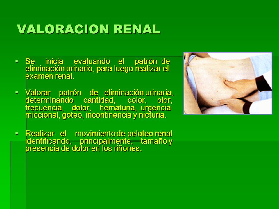 VALORACION RENAL Se inicia evaluando el patrón de eliminación urinario, para luego realizar el examen renal.