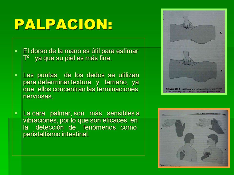 PALPACION: El dorso de la mano es útil para estimar Tº ya que su piel es más fina.