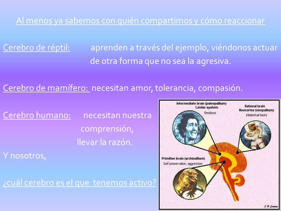 Al menos ya sabemos con quién compartimos y cómo reaccionar