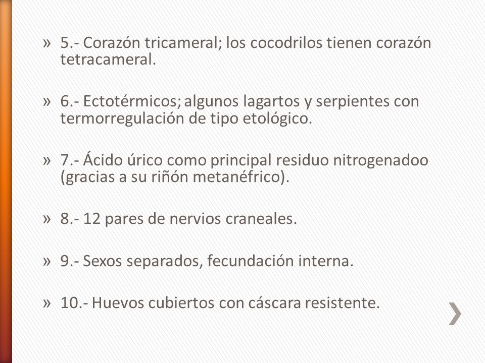 5.- Corazón tricameral; los cocodrilos tienen corazón tetracameral.