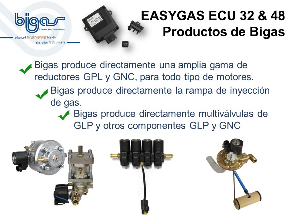 EASYGAS ECU 32 & 48 Productos de Bigas