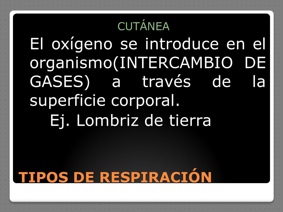 Ej. Lombriz de tierra TIPOS DE RESPIRACIÓN CUTÁNEA