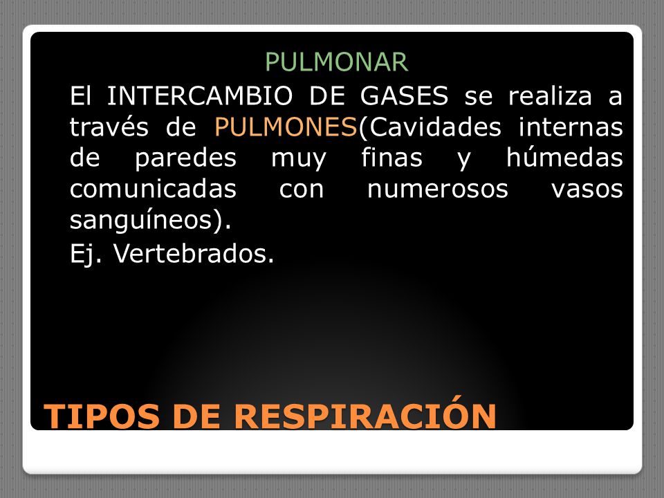 PULMONAR El INTERCAMBIO DE GASES se realiza a través de PULMONES(Cavidades internas de paredes muy finas y húmedas comunicadas con numerosos vasos sanguíneos). Ej. Vertebrados.