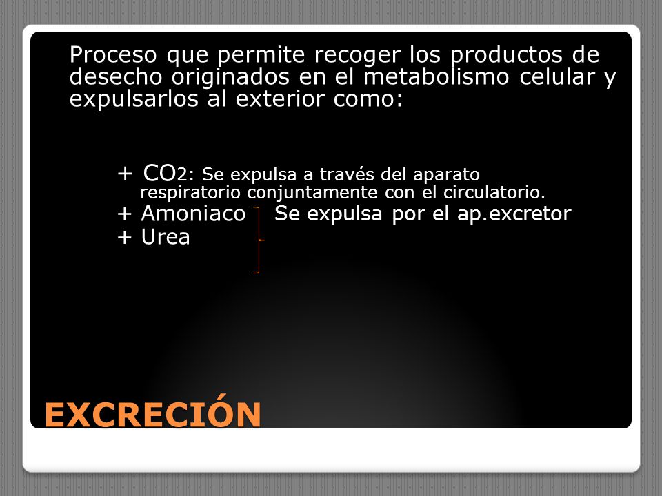 Proceso que permite recoger los productos de desecho originados en el metabolismo celular y expulsarlos al exterior como: