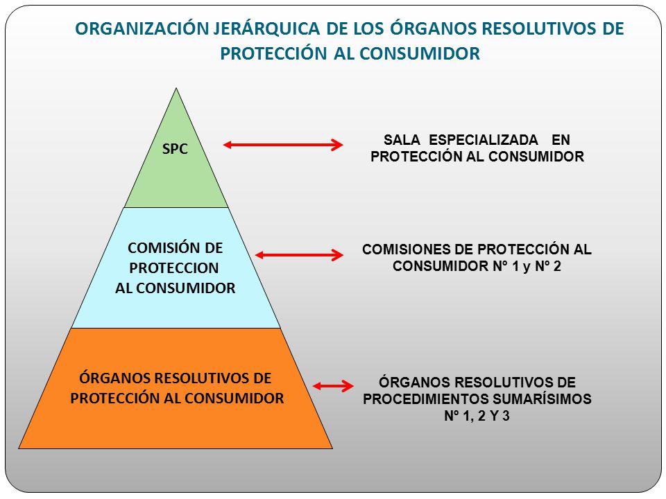 ORGANIZACIÓN JERÁRQUICA DE LOS ÓRGANOS RESOLUTIVOS DE PROTECCIÓN AL CONSUMIDOR