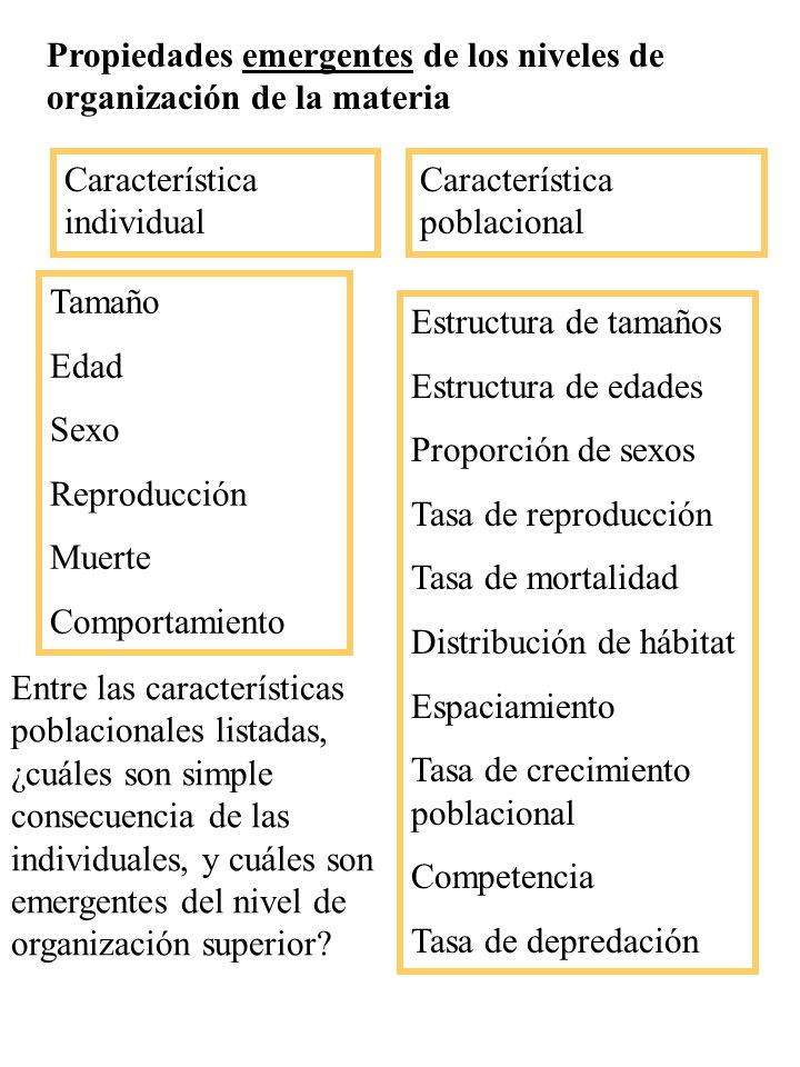 Propiedades emergentes de los niveles de organización de la materia
