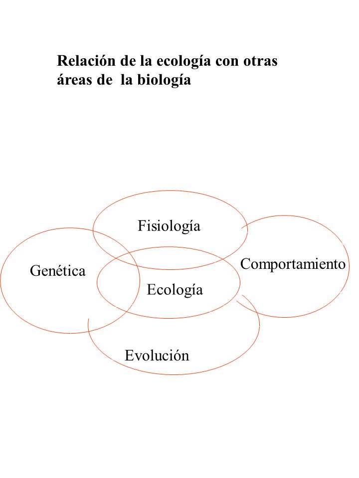 Relación de la ecología con otras áreas de la biología