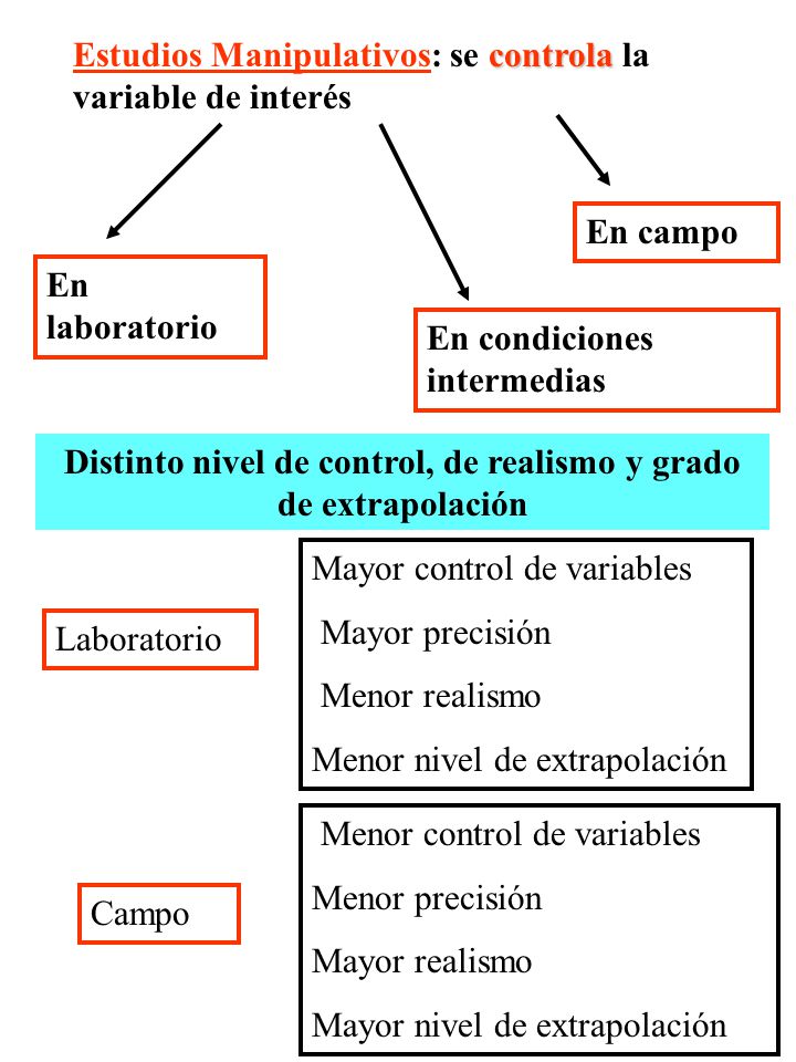 Distinto nivel de control, de realismo y grado de extrapolación