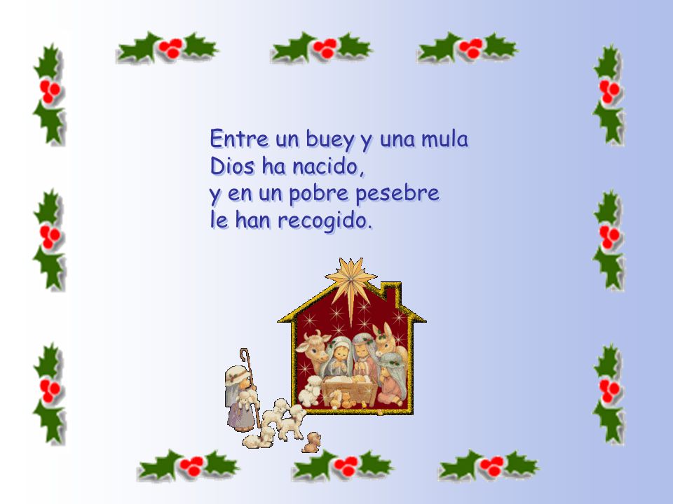 Entre un buey y una mula Dios ha nacido, y en un pobre pesebre le han recogido.