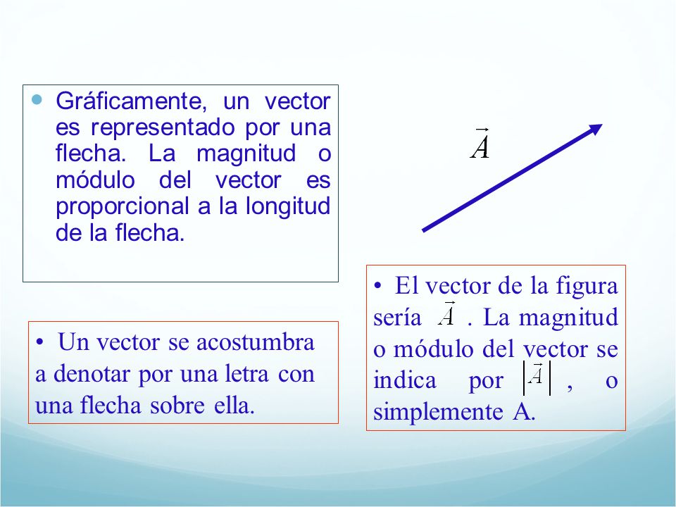 Gráficamente, un vector es representado por una flecha