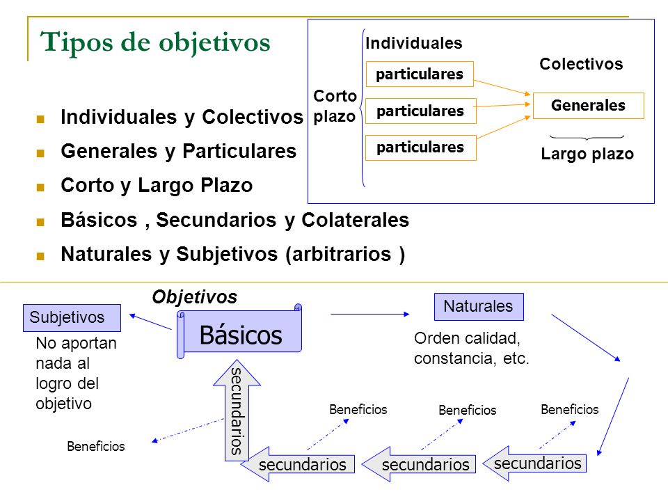 Tipos de objetivos Básicos Individuales y Colectivos