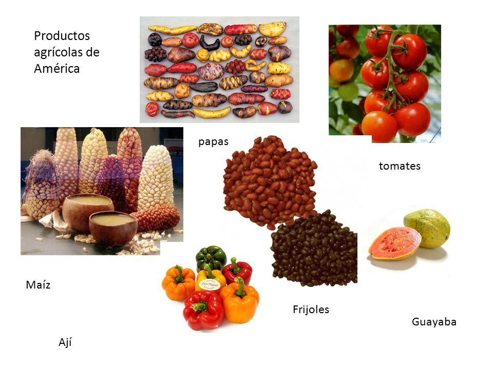 Productos agrícolas de América