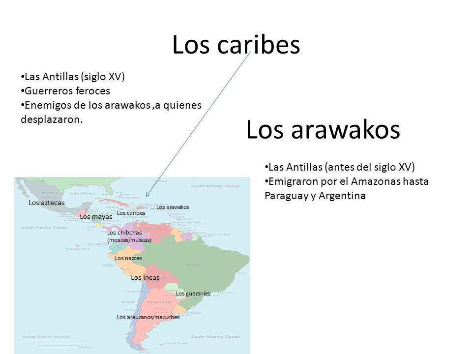 Los caribes Los arawakos Las Antillas (siglo XV) Guerreros feroces