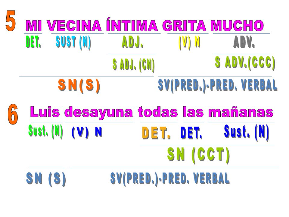MI VECINA ÍNTIMA GRITA MUCHO DET. SUST (N) ADJ. (V) N ADV. S ADV.(CCC)