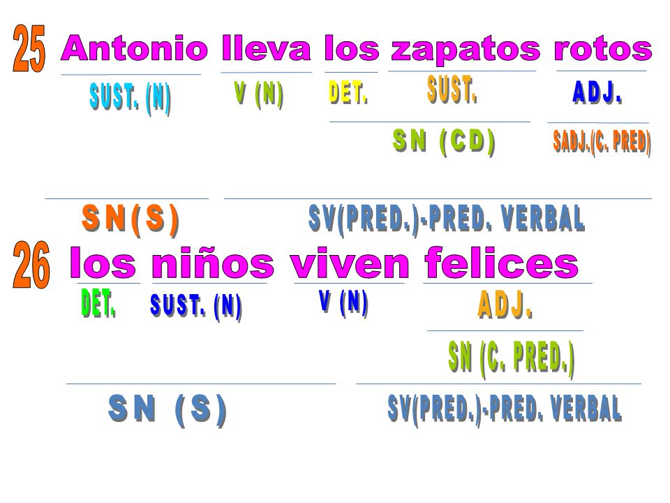 Antonio lleva los zapatos rotos SUST. SUST. (N) V (N) DET. ADJ.