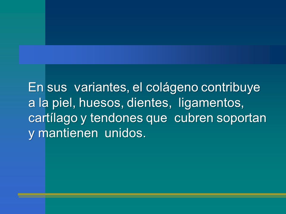 En sus variantes, el colágeno contribuye a la piel, huesos, dientes, ligamentos, cartílago y tendones que cubren soportan y mantienen unidos.